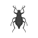 Icon Blaps Japonensis