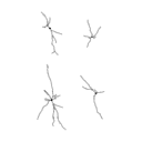 164 Pag Neurons Scidraw