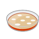 Petri Dish Free Illustration