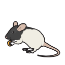 171 L Erat Eat