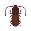 Icon Rust Red Grain Beetle