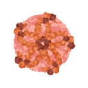 Icons Porcine Parvovirus