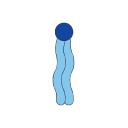 Phospholipid Membrane Unit Light Blue