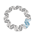Free Scientific Illustration Download Of Plasmid
