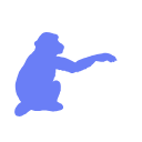 503 Monkey
