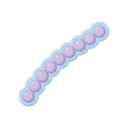 Icons Streptococcus Encapsulated