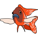 319 Cichlid Q H5v S Lj