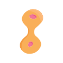 Dividing Cell