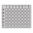 48 Well Plate