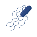 Icons Salmonella