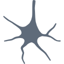 18 Cell Icon