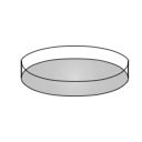 Petri Dish