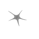 Astrocyte Grey