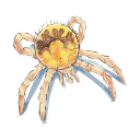 Free Scientific Illustration Of Unfed Soft Tick