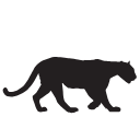 Mountain Lion Black White Svg