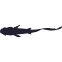 79 Fish Swimming Silhouette