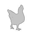 Domestic Chicken Outline Svg