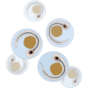 16 Zebrafish Larvae