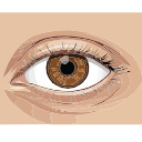 Pupil Eye