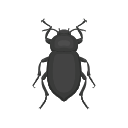 Icon Blaps Lethifera