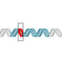 Free Scientific Illustration Download Of Gene Mutation