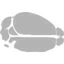 428 Asb Mouse Brain