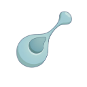 B Cell Squeezing 3D