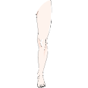 Lower Limb Anatomy 3