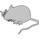 Mouse Outline Silhouette Svg