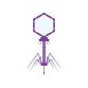 Icons Bacteriophage