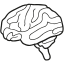 309 Human Brain By Gc