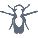 26 Drosophila Silhuette