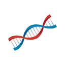 Svg Dna Double Helix