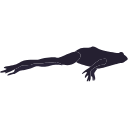 76 Frog Silhoutte