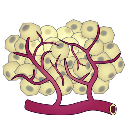 Angiogenesis Cancer Cells Variant 2