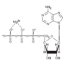 Svg Structure Of Atp