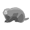 Woodchuck Black White Svg