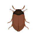 Icon Smirnoff Vodka Beetle