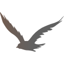 92 Bird Silhouette2 D3n L9pd