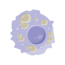 Icons Foam Cell Macrophage