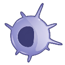Dendritic Cell Two