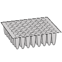 48 Well Plate