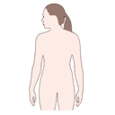 Free Scientific Illustration Humane Femlae Outline Type 1