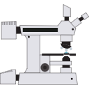 423 Asb Microscope Confocal Microscope