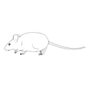 108 Mouse Fat Walking