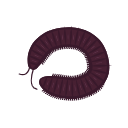 Icon Millipede