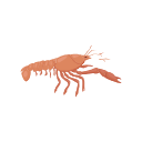 Icon Crayfish