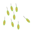 Svg Sperm
