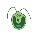 Chlamydomonas Reinhardtii