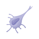 Icons Dendritic Cell Squeezing Editable